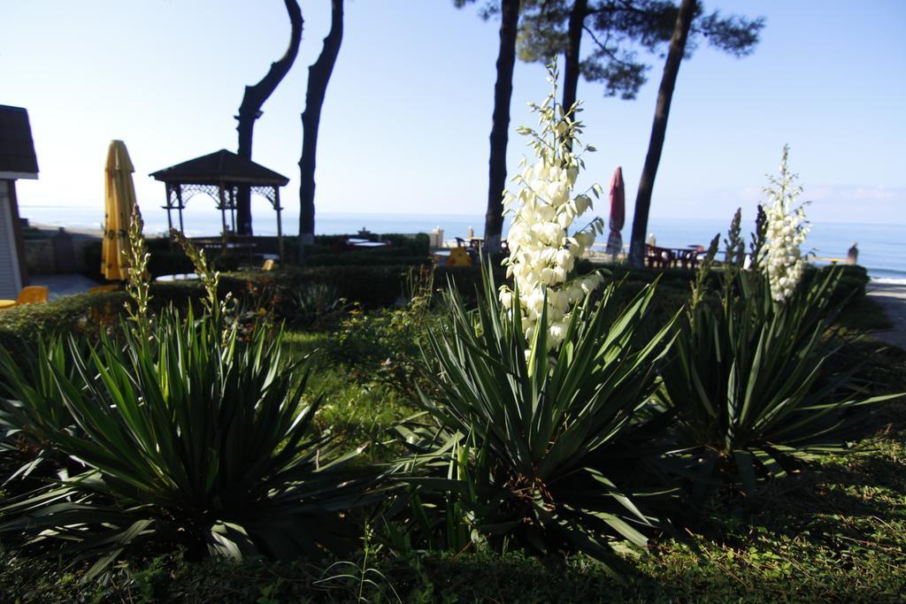 Villa Reta Hotel & Spa Grigoleti Dış mekan fotoğraf